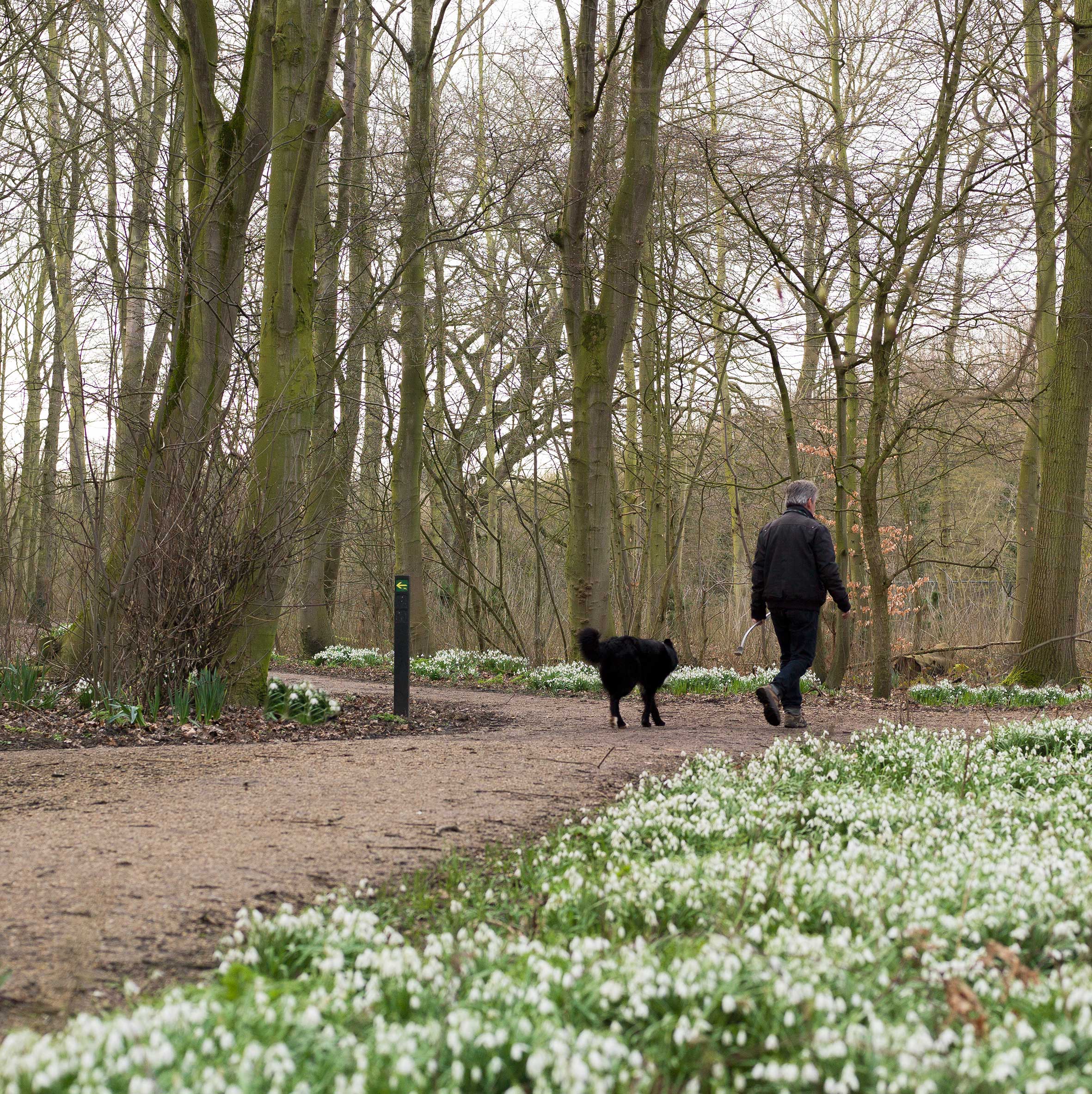 contact-stichting-nollebos